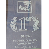 camping excellence flower bretagne