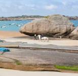 Camping parc Perros Guirec