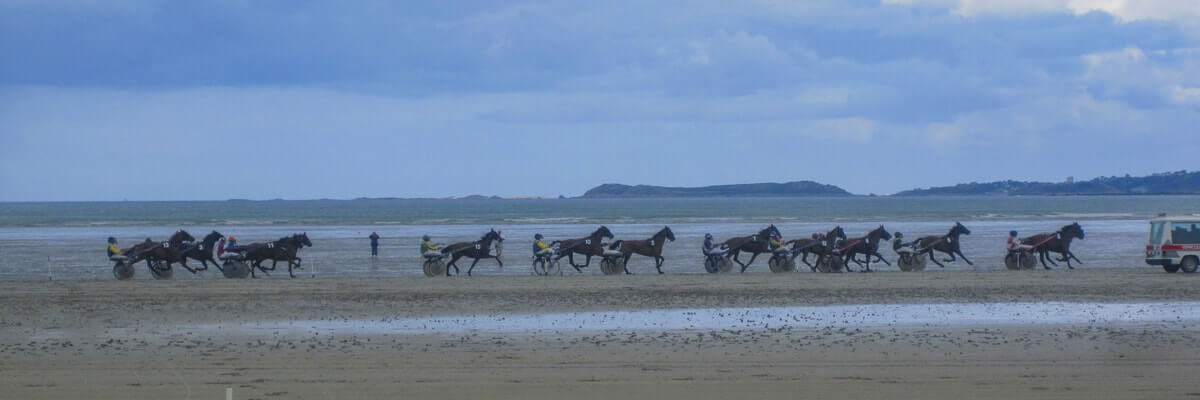 camping bretagne annimations