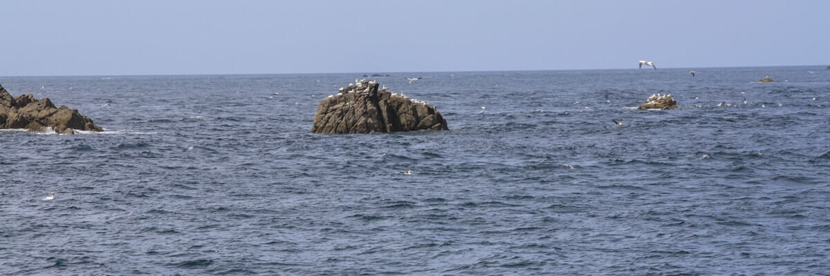 parc paysager bretagne